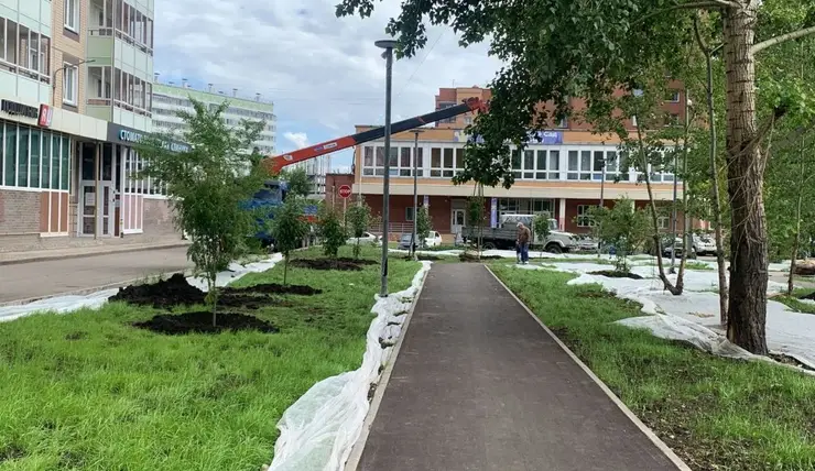В Красноярске озеленяют сквер Казачий
