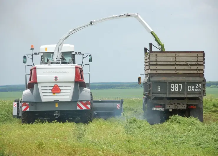 В Красноярском крае назвали лучшие предприятия агропромышленного комплекса