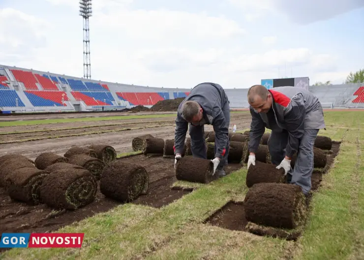 В Красноярске до конца июля уложат новое футбольное поле на Центральном стадионе