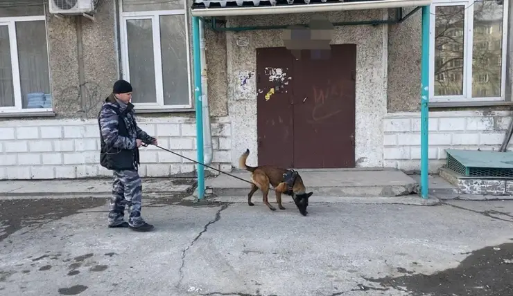 Служебный пёс вывел на след похитителя 145 тысяч рублей
