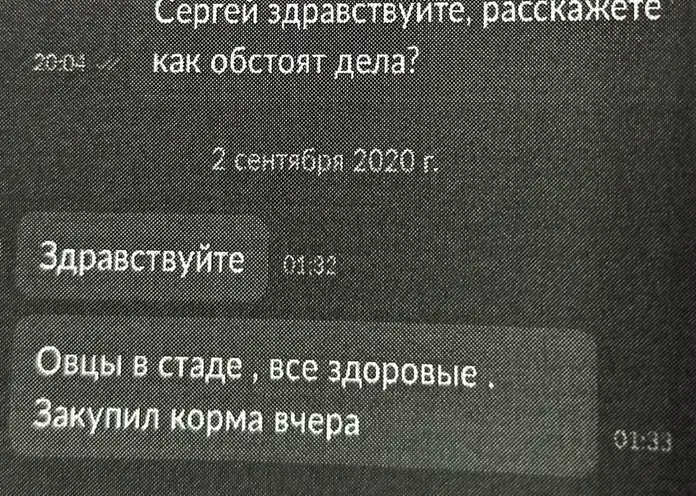 Житель Железногорска «инвестировал» в овец и перевел мошеннику 100 тысяч рублей