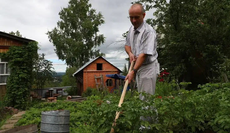 У красноярцев растет спрос на покупку дач и земельных участков