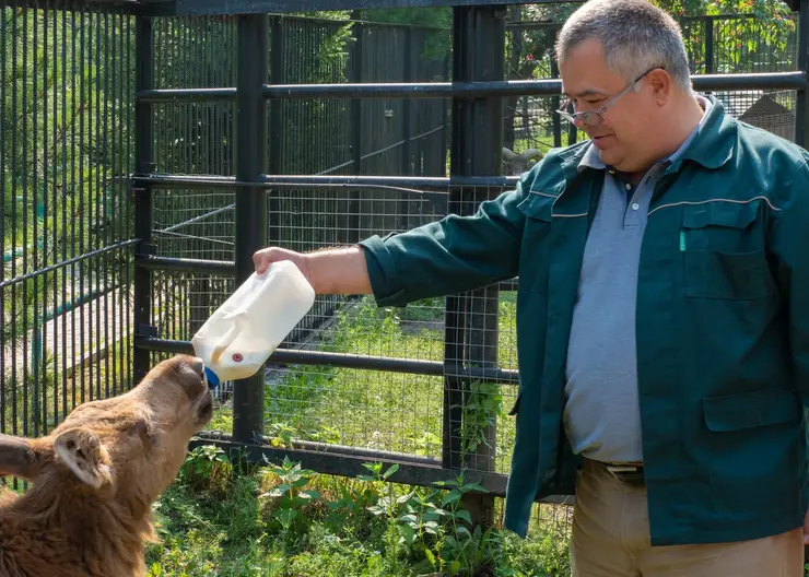 Директор зоопарка «Роев ручей» Андрей Горбань покинул свою должность