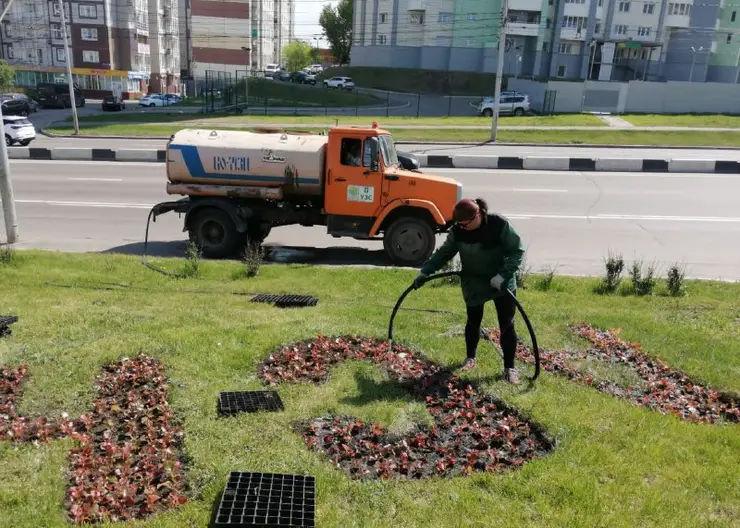 В Красноярске из-за жары усилили полив уличных деревьев и кустарников