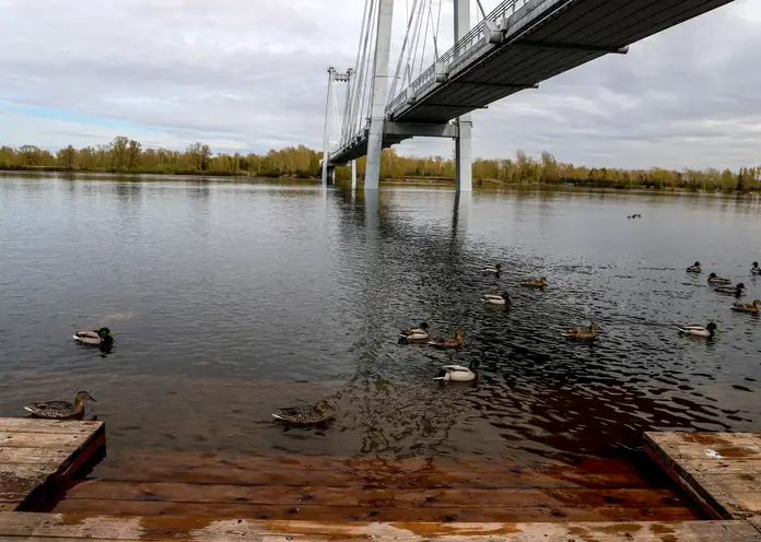 В Красноярске из Енисея достали тело 79-летней женщины