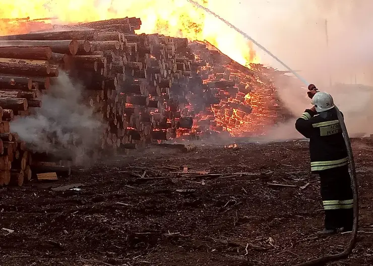 В Красноярском крае за минувшие выходные ликвидировано 14 лесных пожаров на площади 16,2 тысячи гектаров