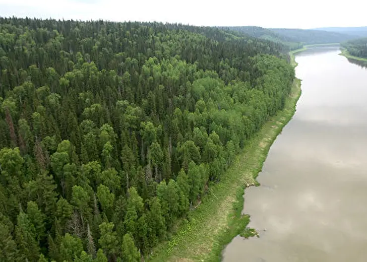 WWF предложил ограничить россыпную добычу золота на реках Красноярского края