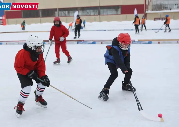 В Красноярске 16 декабря прошёл День хоккея