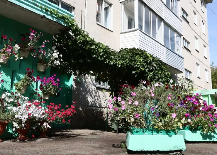В Советском районе Красноярска стартовал онлайн-конкурс по благоустройству «Я – хозяин своего двора»