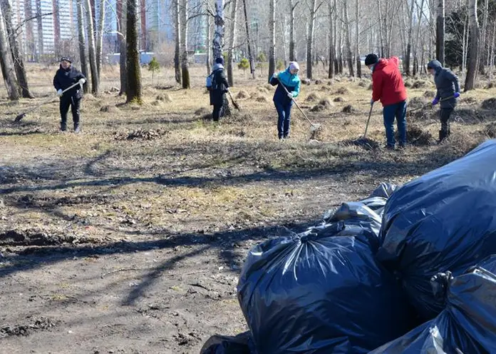 В Красноярске начался двухмесячник по благоустройству и озеленению