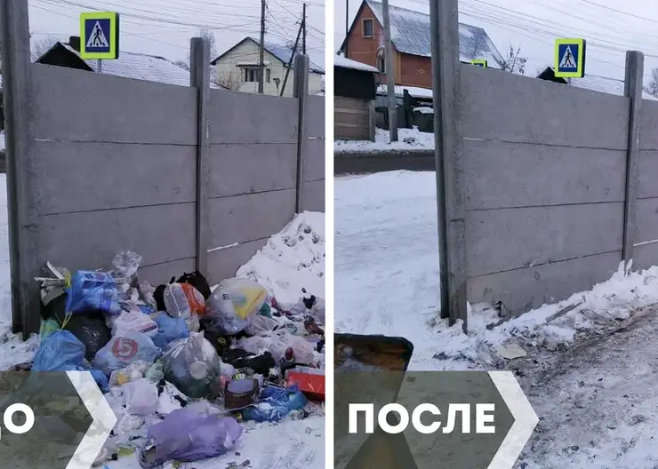 С начала года в Центральном районе Красноярска убрали семь свалок