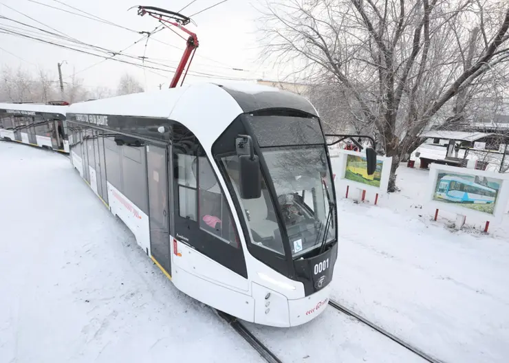 Развитием красноярской трамвайной сети может заняться московская компания