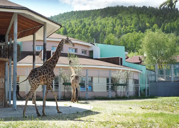 В Красноярском крае в программу «Пушкинской карты» планируют добавить зоопарки
