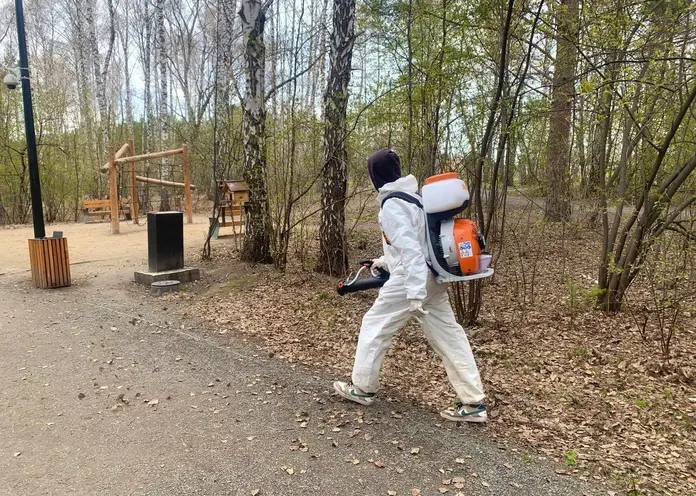 В Красноярске перенесли обработку экопарка «Гремячая грива» от клещей