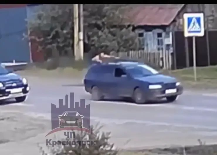 В Красноярском крае мужчина угнал автомобиль и прокатил сына его владельца на крыше