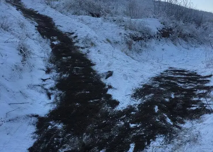 В Красноярске 10-летний ребенок катался с горы и погиб от удара головой