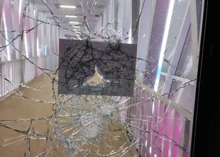 В Красноярске подростки разбили стеклянные двери надземного перехода на Волочаевской