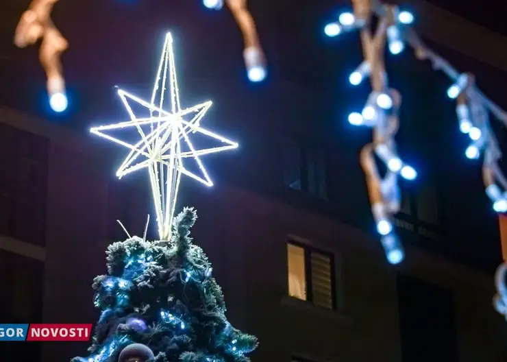 Жители Красноярска рассказали о самых желанных новогодних подарках