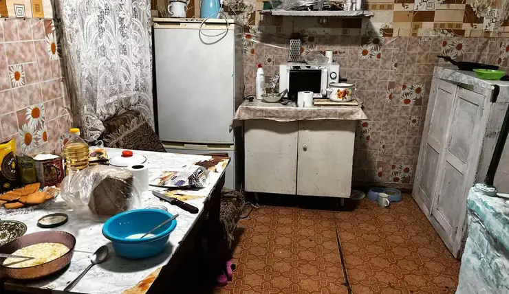 В Красноярском крае четверых голодных и замерзших детей забрали у пьющей матери