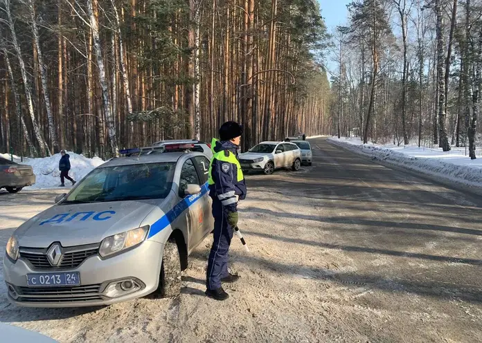 Красноярцев просят соблюдать правила при парковке около экопарка «Юдинская долина»