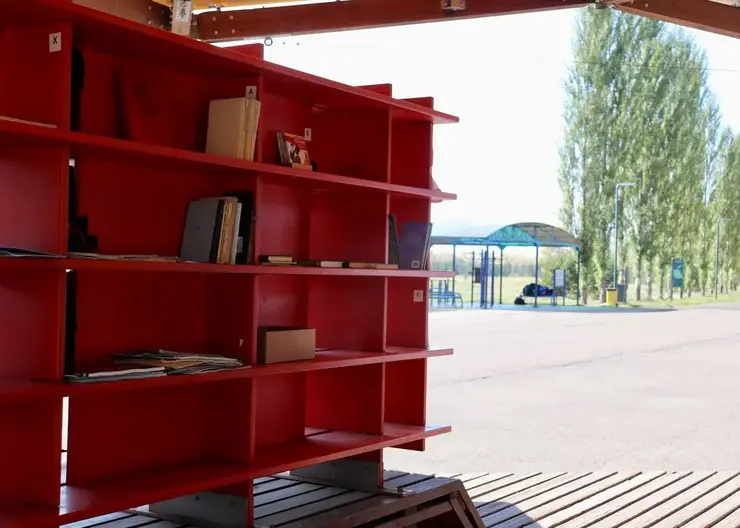 В Татышев-парке появится новый шкаф для буккроссинга