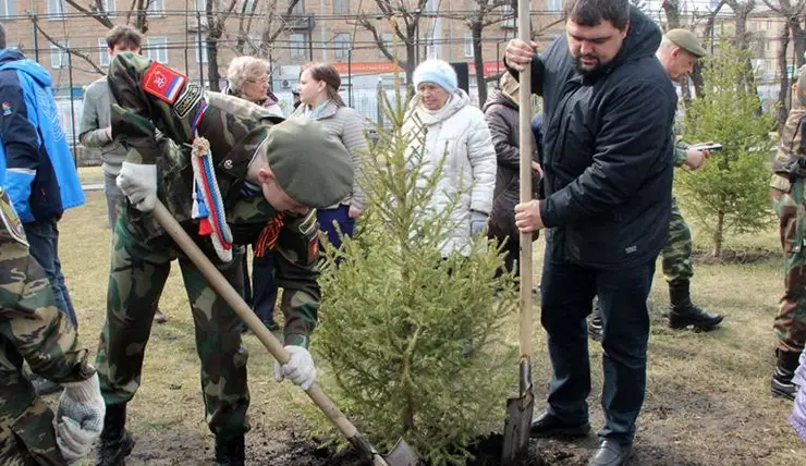 На Аллее Победителей в Железнодорожном районе Красноярска высадили деревья