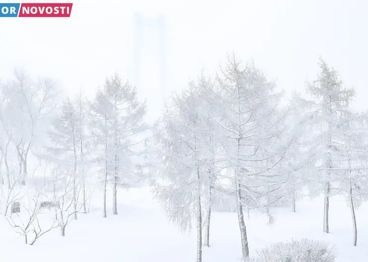 В Красноярске 14 декабря потеплеет до -21 градуса