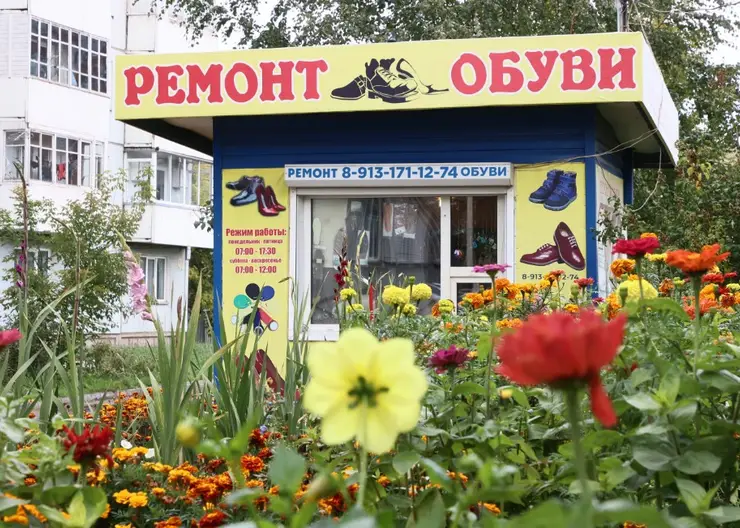 В Красноярске сапожник каждый год разбивает цветник возле мастерской