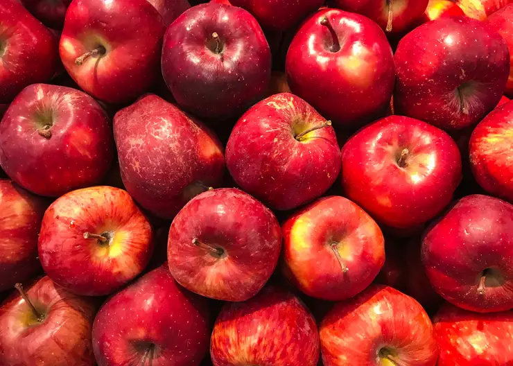 В Красноярске изъяли более 800 кг небезопасных яблок