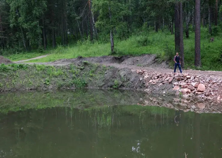 В Красноярске в 2022 году благоустроят пруд в экопарке «Гремячая грива»