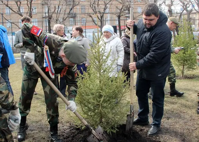 На Аллее Победителей в Железнодорожном районе Красноярска высадили деревья