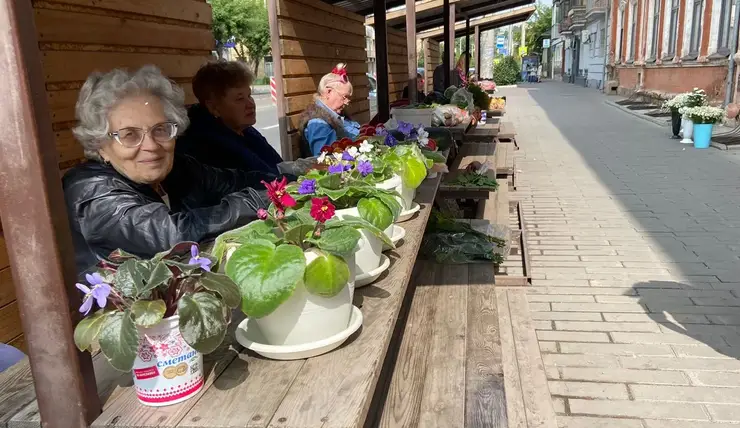 В Центральном районе Красноярска работает 139 торговых рядов для садоводов