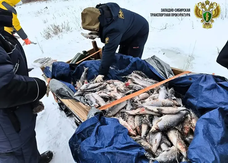 На севере Красноярского края браконьера осудили за незаконный вылов рыбы