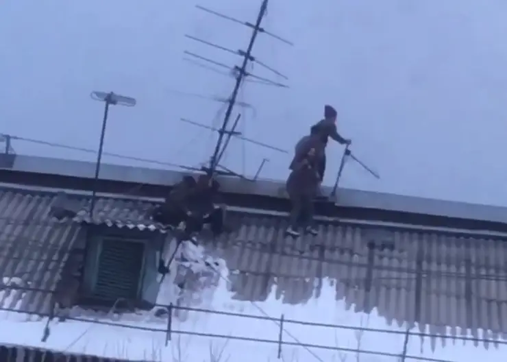 В Красноярске дети залезли на крышу пятиэтажки на улице Устиновича