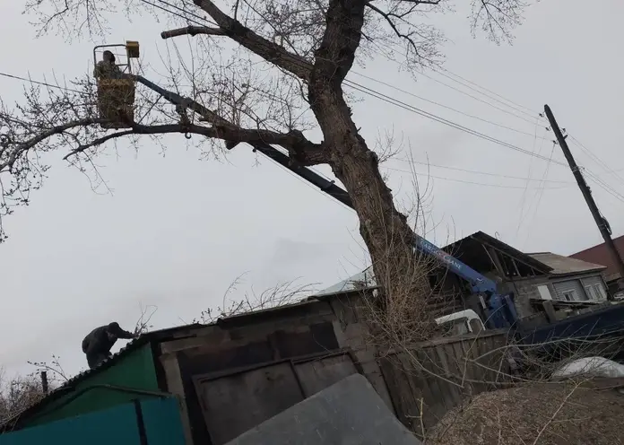 В Красноярском крае рабочего спасли со сломавшегося строительного крана