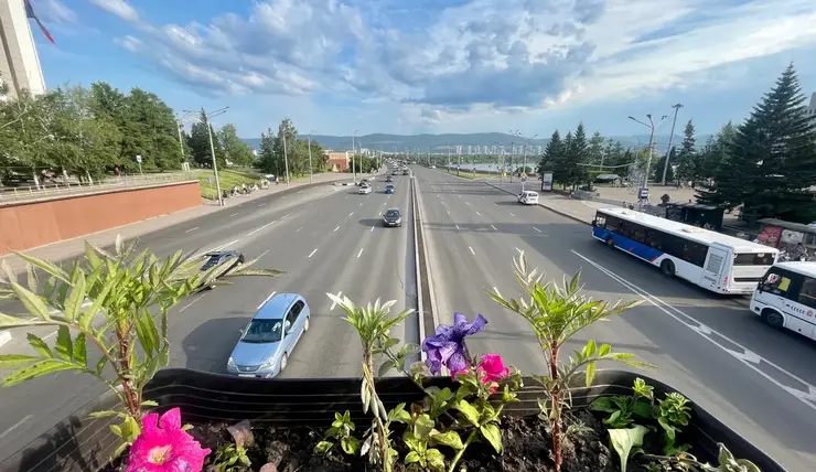 В Красноярске неизвестные вырвали цветы из кашпо на мосту на Вейнбаума