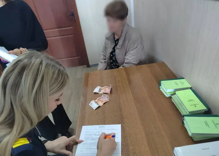 Таксистку из Ачинска подозревают в краже 15 тысяч рублей у пассажирки