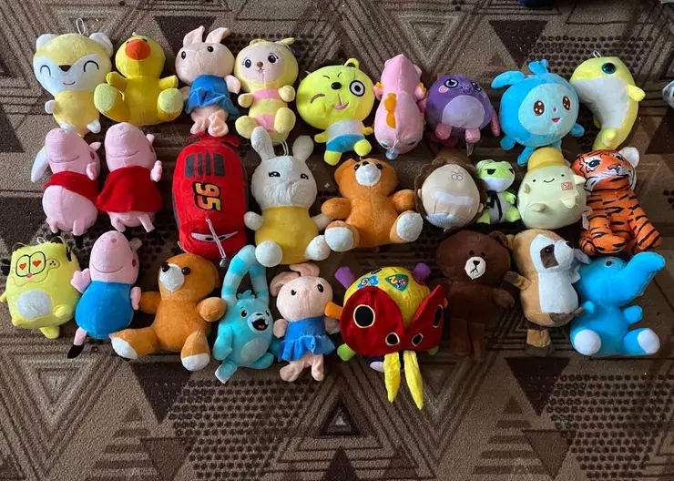 В Красноярском крае отец пятерых детей украл 27 игрушек из игрового автомата