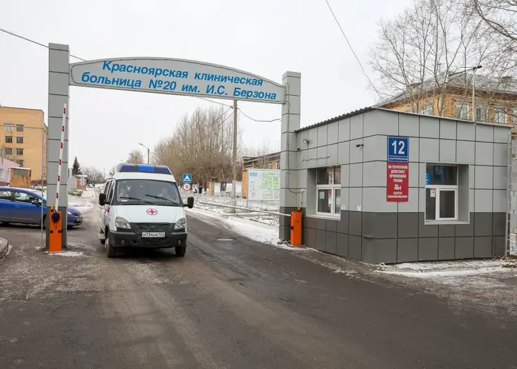 В Красноярском крае в 2022 году зарегистрирован один случай токсоплазмоза