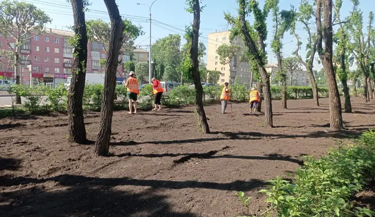 В Красноярске на променаде «Красноярского рабочего» высаживают газон
