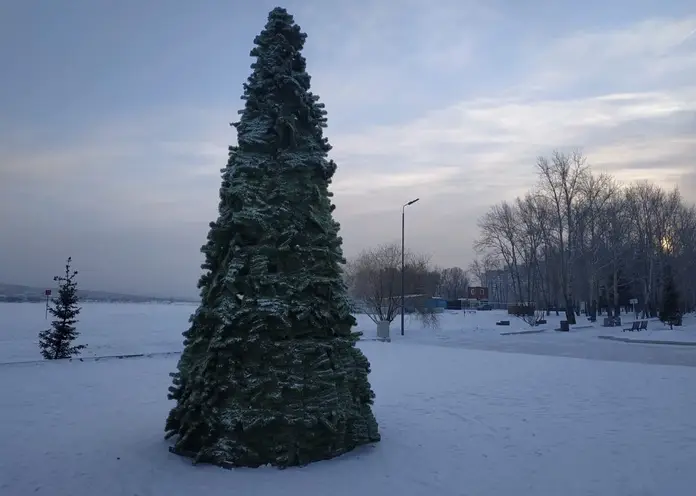 В Красноярске 28 декабря откроется елка в озеро-парке «Октябрьский»