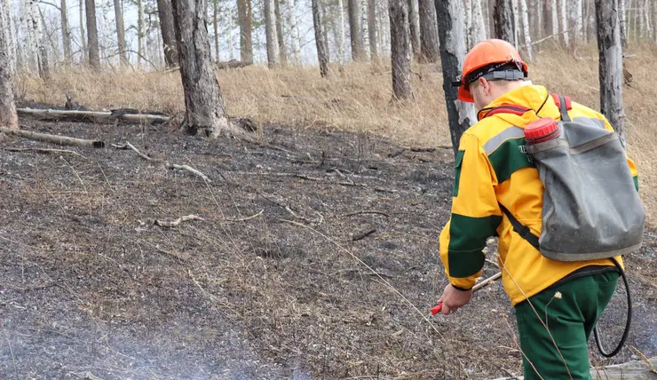 В Красноярске стартовал набор добровольцев на курсы лесных пожарных