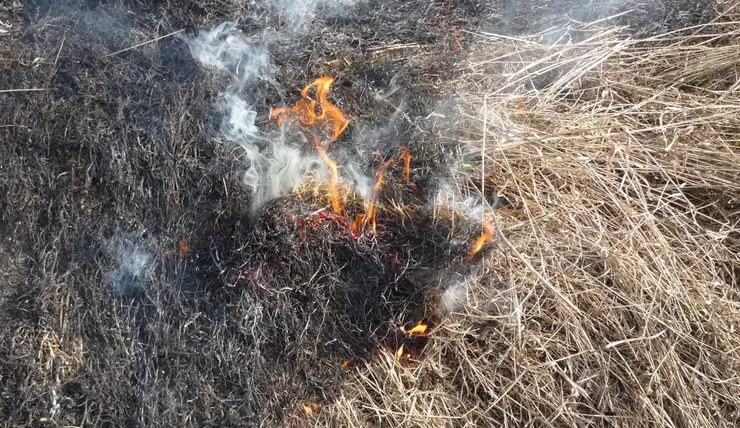 В Красноярском крае в пожароопасный сезон уже 440 раз сжигали траву
