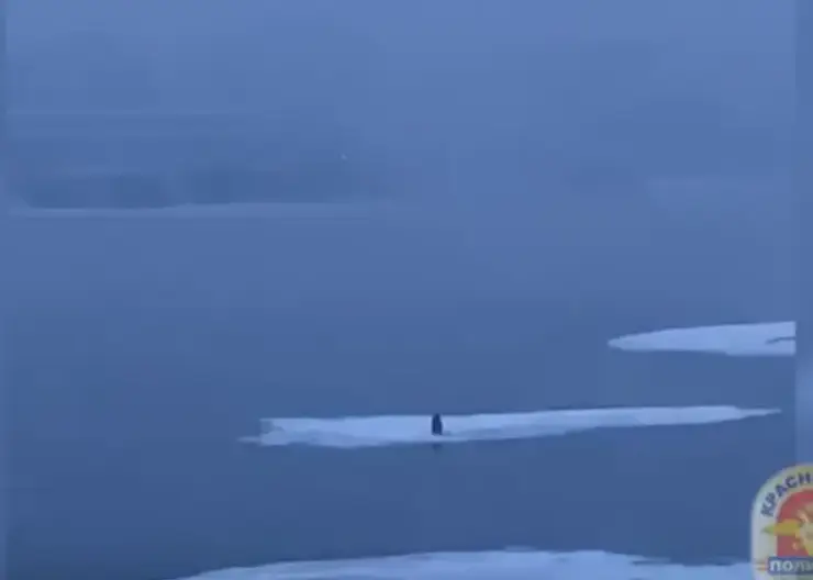 В Красноярске мужчину могло унести на льдине по Енисею