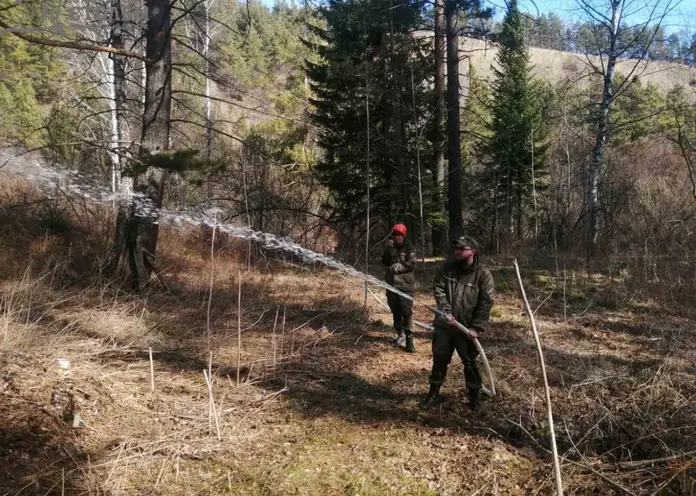 В Красноярске в апреле хотят закрыть «Столбы» из-за опасности пожаров