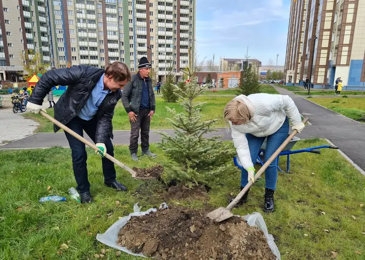 В Красноярске 88 % жителей поддерживают идею заботы об окружающей среде