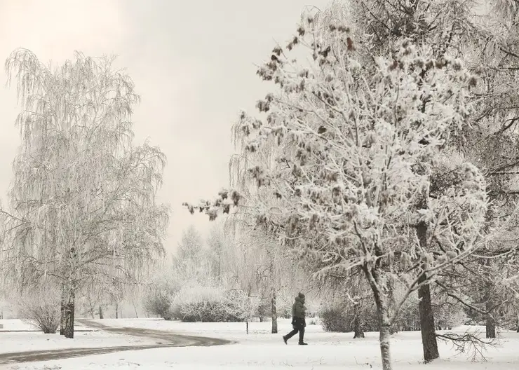 В Красноярске к концу выходных  похолодает до -31 градуса