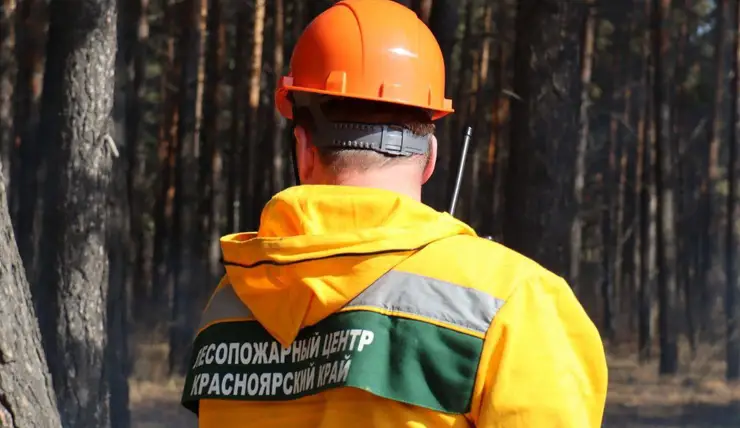 Лесных пожарных Красноярского края отправят тушить пожары в Тыве