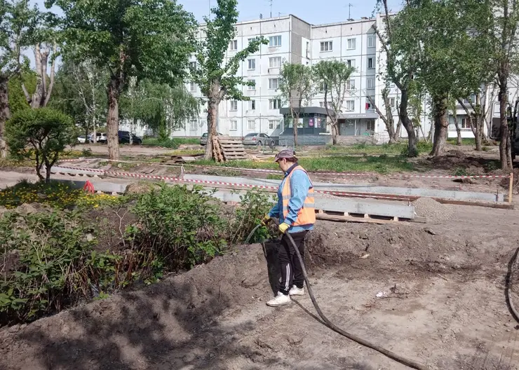 Красноярские озеленители приняли на обслуживание ещё 400 деревьев и кустарников
