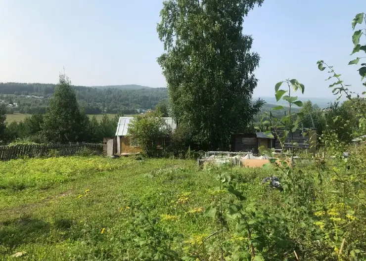 В Красноярском крае планируют бесплатно выдавать землю участникам СВО или их семьям